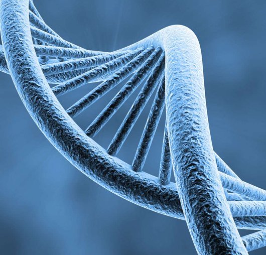 MICROLAB SEU EXAME DE DNA